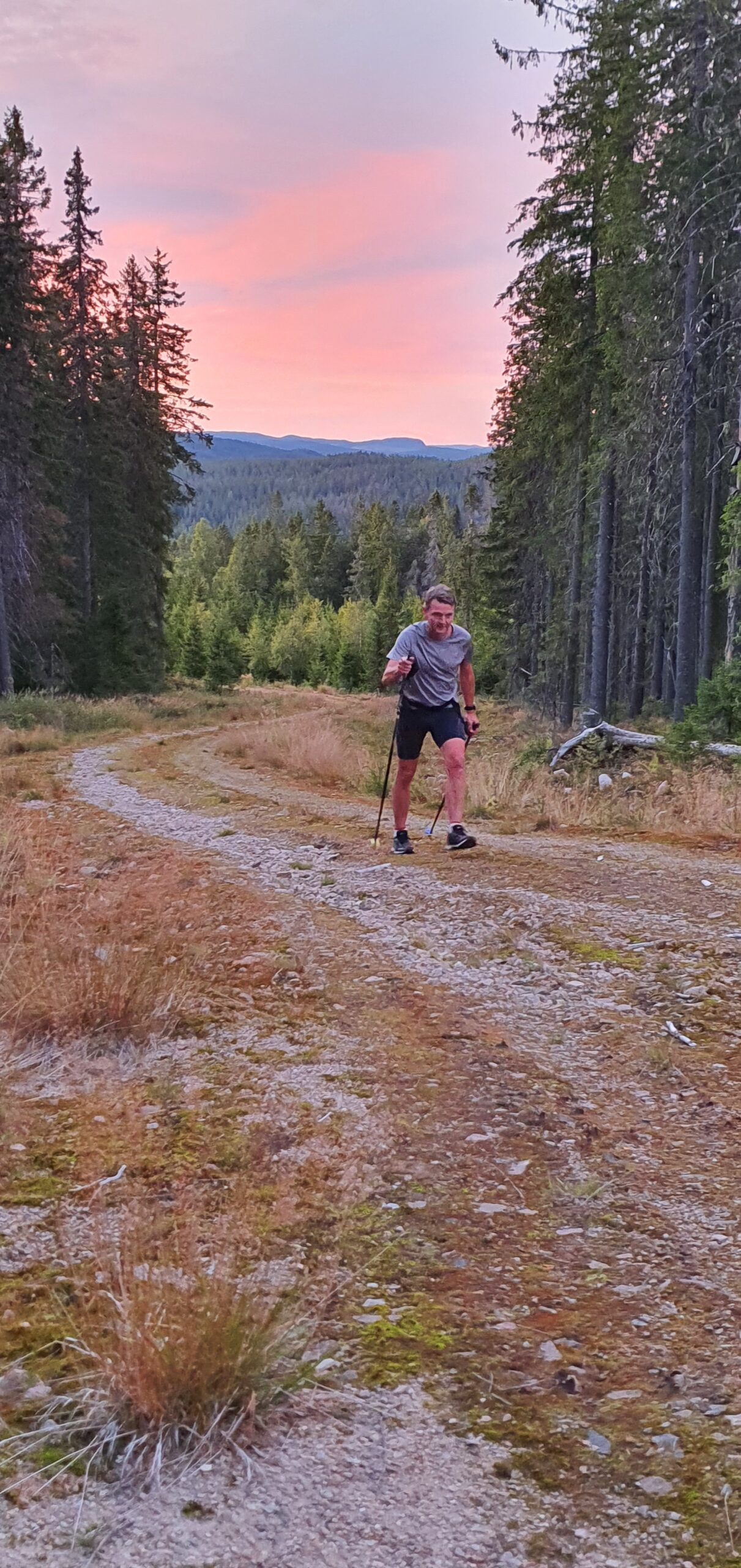 Skidgångsträning vecka 4