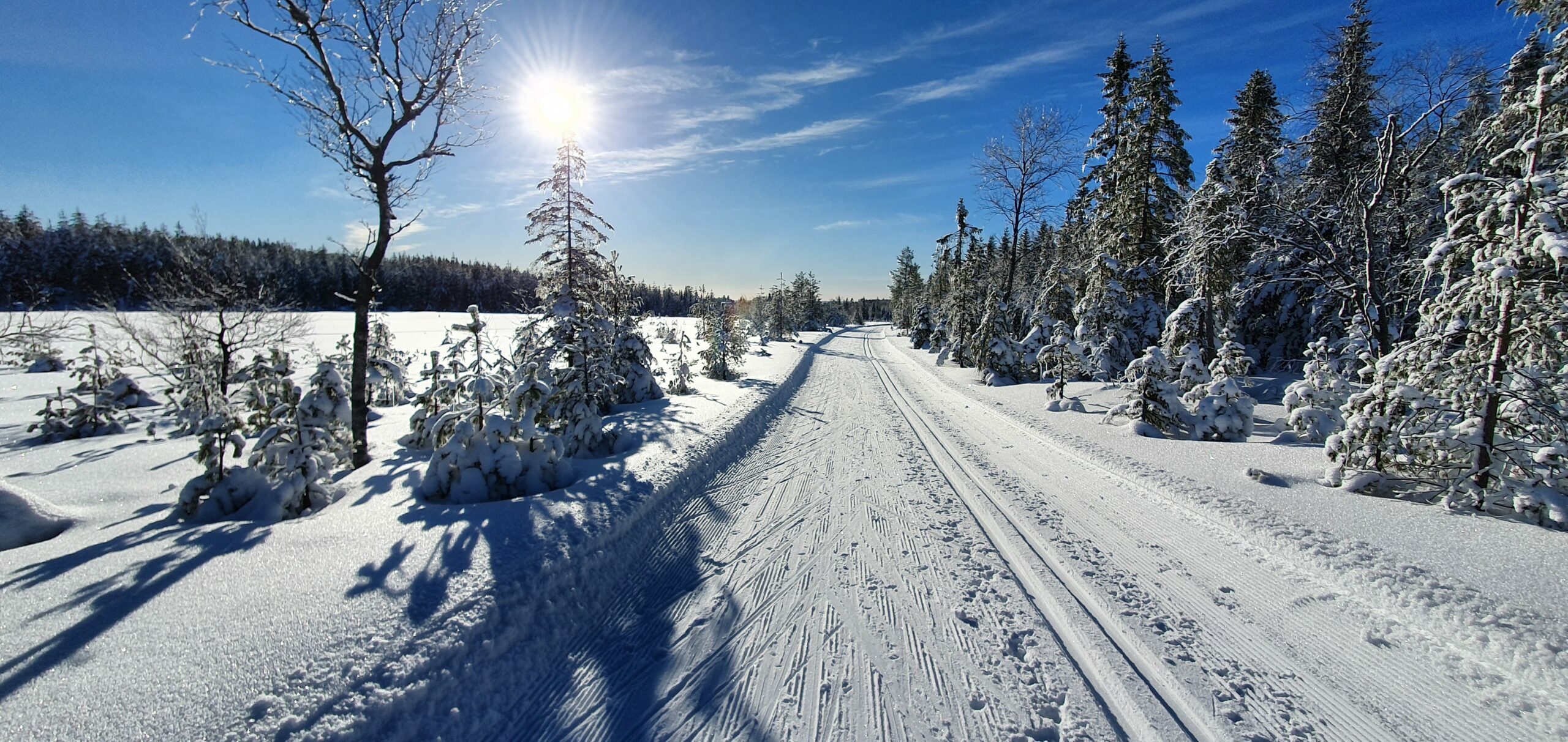 Skidläger Mattila