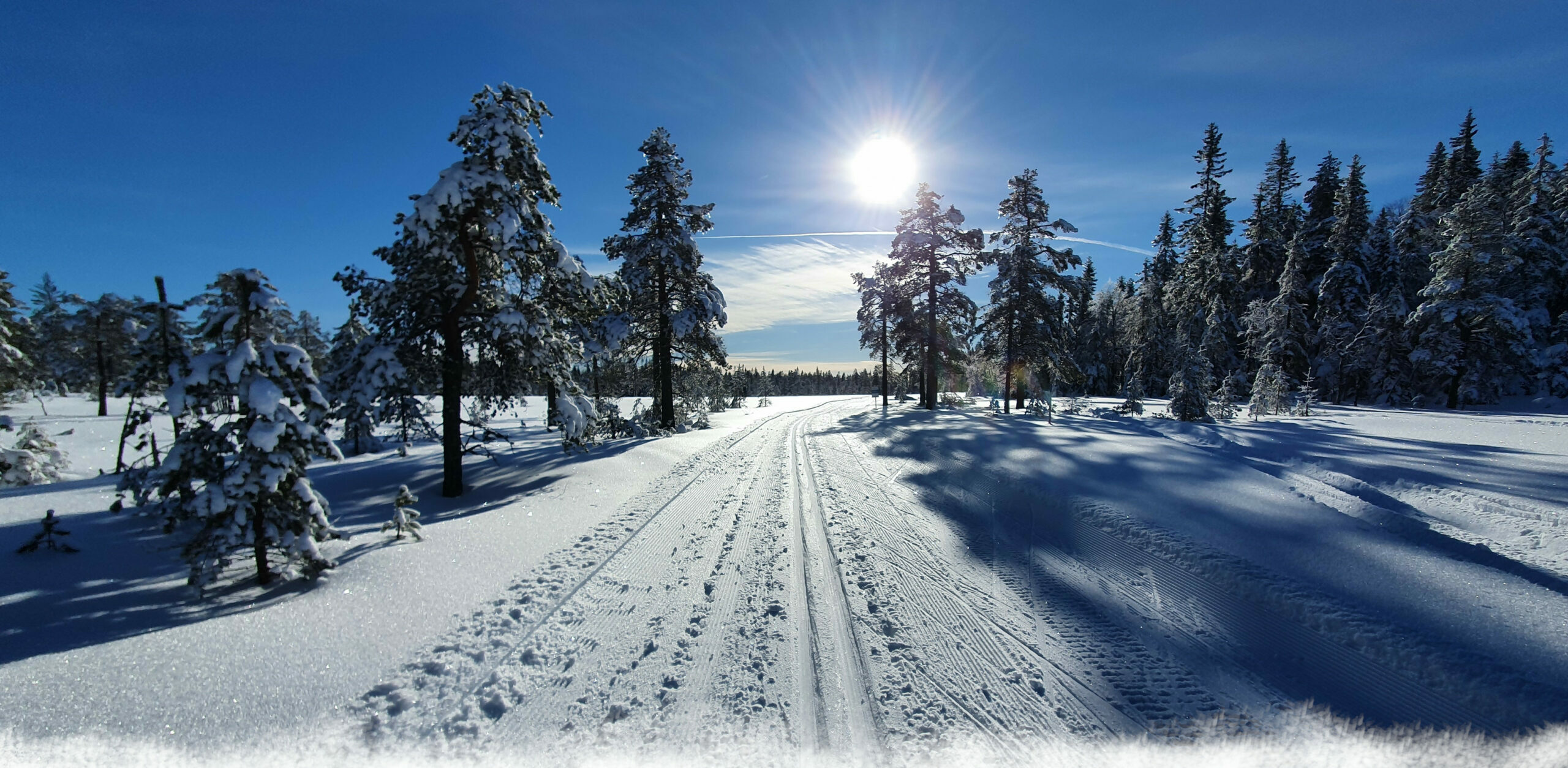 Skidläger Matilla